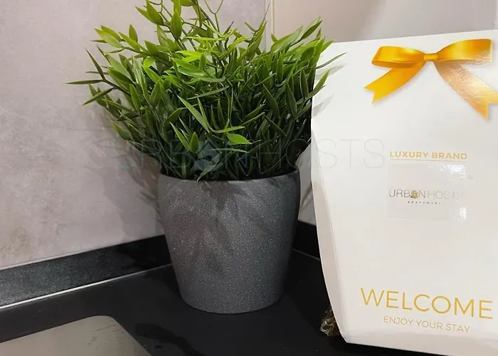 Santuchu Urbano Comodo Y Funcional *